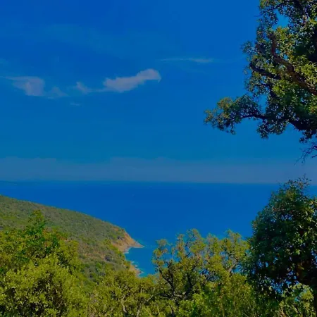 Δωμάτια σε οικογενειακή κατοικία Petit Havre De Paix Avec Jacuzzi Luxe & Jardin Privatif Zen Cavalaire-sur-Mer