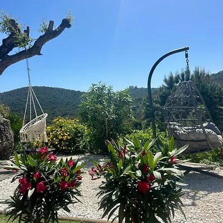 Accommodatie bij particulieren Petit Havre De Paix Avec Jacuzzi Luxe & Jardin Privatif Zen Cavalaire-sur-Mer