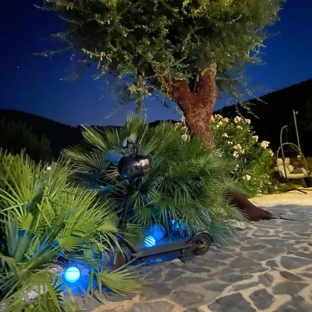 Petit Havre De Paix Avec Jacuzzi Luxe & Jardin Privatif Zen בית אירוח קבלייר-סור-מר